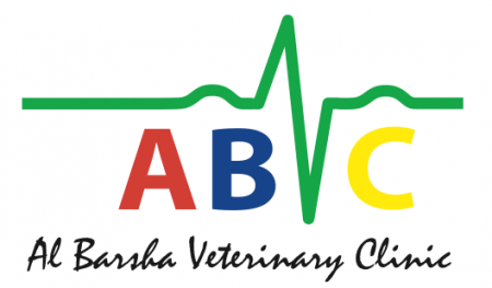 Colouring Competition